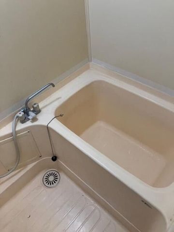 �y�o�X�z�@