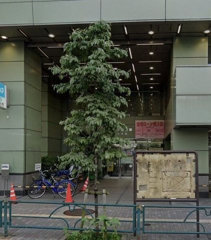 �y���Ӂz�@�����M�p���ɋ�x�X �k��8���B 620m