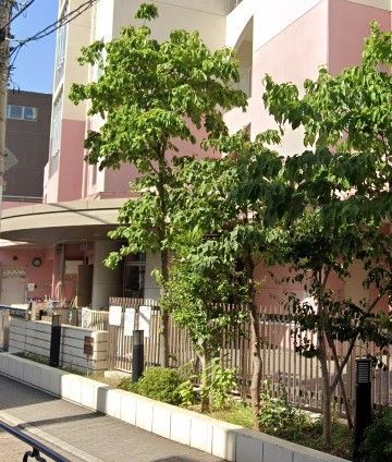 �y���Ӂz�@�����旧�{�����w�Z �k��4���B 300m