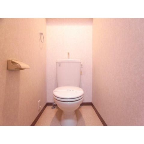 �y�g�C���z�@