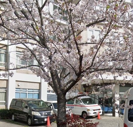 �y���Ӂz�@��Ö@�l�Вc��a�����a�@ �k��4���B 280m