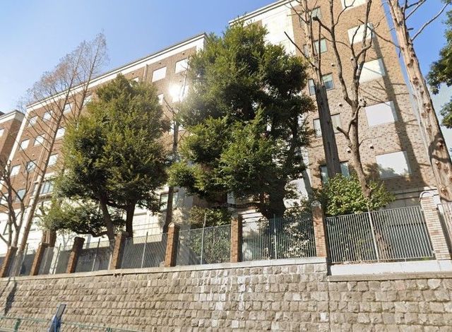 �y���Ӂz�@������w�_�w�����Ȋw�}���� �k��4���B 280m