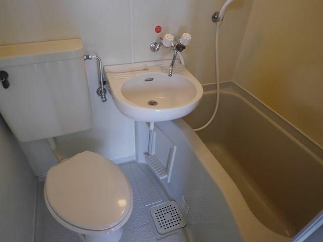 �y�g�C���z�@