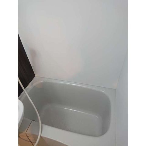 �y�o�X�z�@