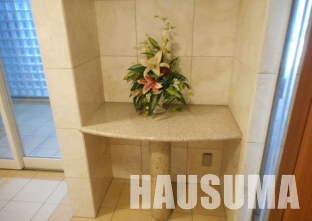 �y���̑��z�@���p����