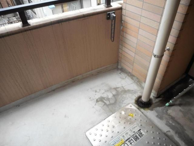�y�o���R�j�[�z�@�o���R�j�[