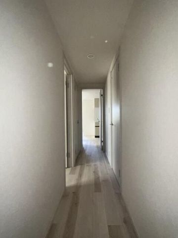 �y���ցz�@