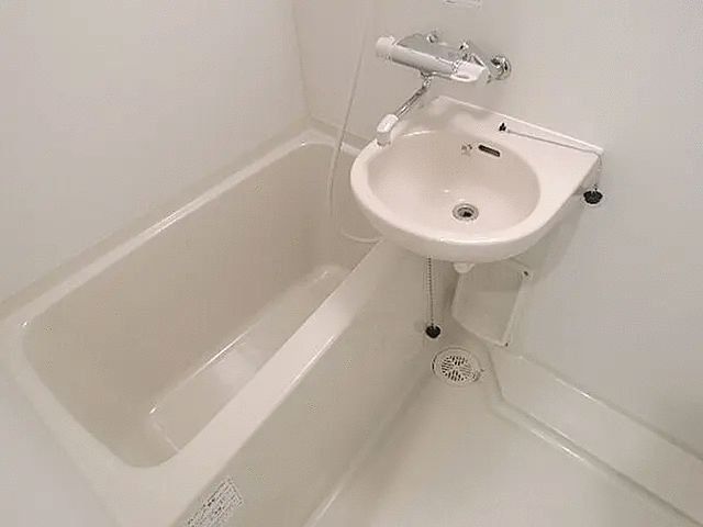 �y�o�X�z�@