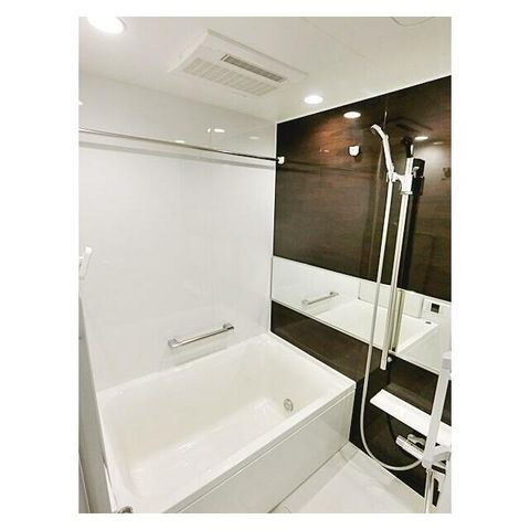 �y�o�X�z�@���������Q�Ǝʐ^��