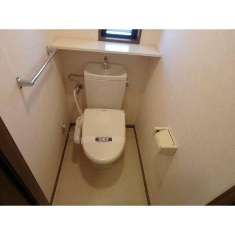 �y�g�C���z�@���������Q�Ǝʐ^��