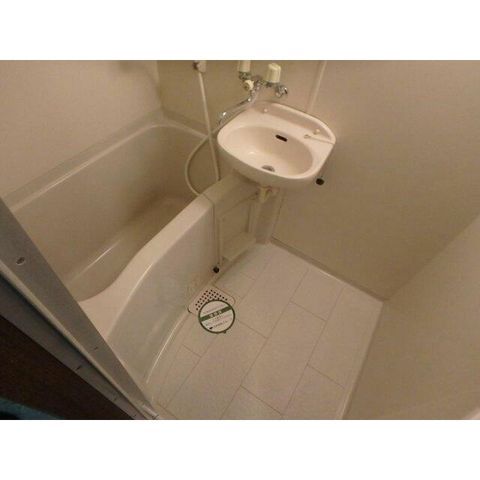 �y�o�X�z�@���������Q�Ǝʐ^��