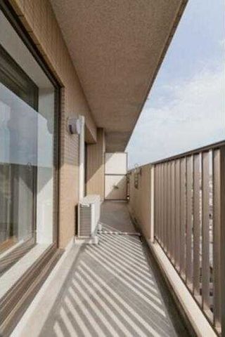 �y�o���R�j�[�z�@���������Q�Ǝʐ^��