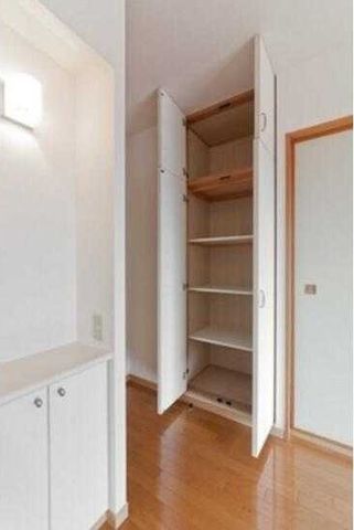 �y���̑��z�@���������Q�Ǝʐ^��