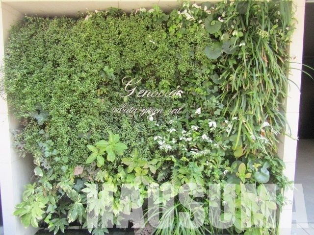 �y���̑��z�@�����h�}�[�N