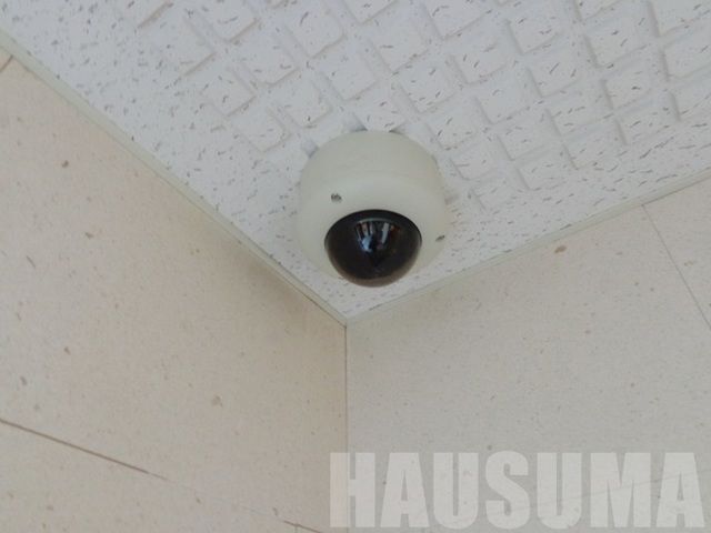 �y���̑��z�@�h�ƃJ����