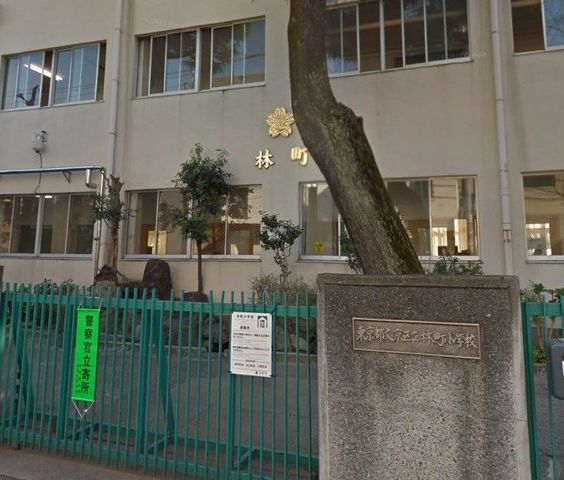 �y���Ӂz�@�����旧�ђ����w�Z �k��4���B 290m