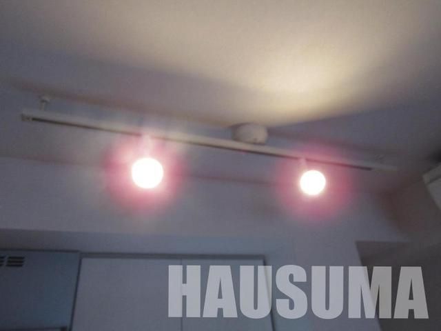 �y���̑��ݔ��z�@�Ɩ������]�^�C�v�Q�l�ʐ^