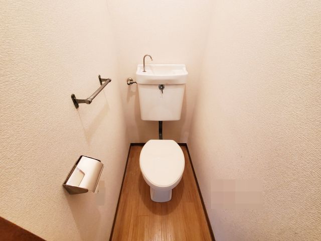 �y�g�C���z�@���������Q�Ǝʐ^��