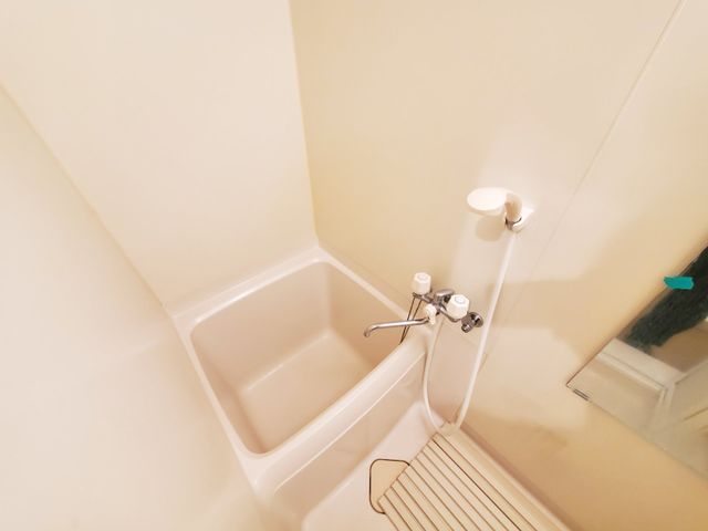 �y�o�X�z�@���������Q�Ǝʐ^��