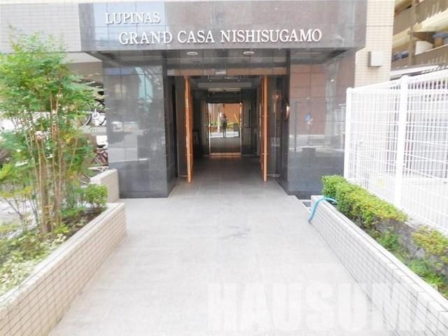 �y�G���g�����X�z�@�G���g�����X