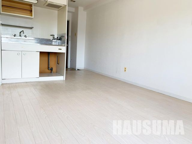 �y�����E���r���O�z�@���r���O/����