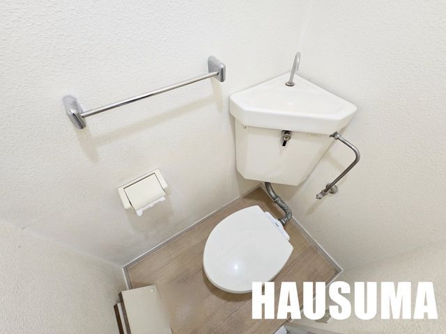 �y�g�C���z�@�����]�^�C�v�Q�l�ʐ^