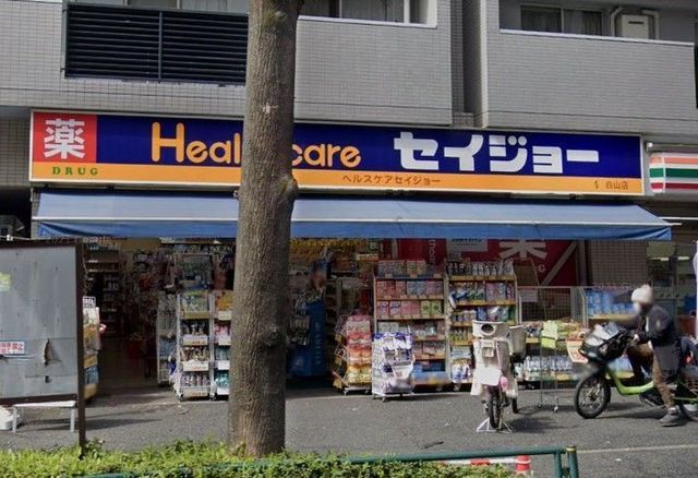 �y���Ӂz�@������Z�C�W���[���R�X �k��8���B 630m