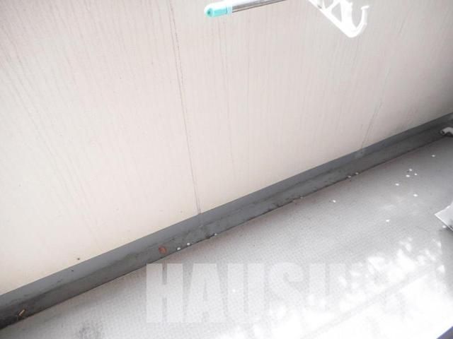 �y�o���R�j�[�z�@�o���R�j�[