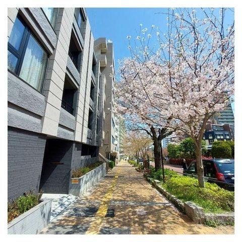 �y�G���g�����X�z�@