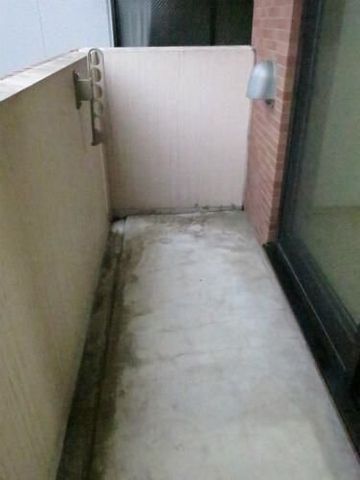 �y�o���R�j�[�z�@