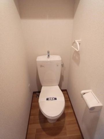 �y�g�C���z�@