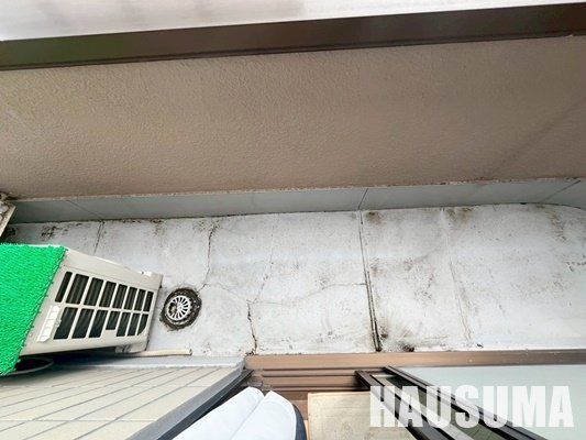 �y�o���R�j�[�z�@�o���R�j�[