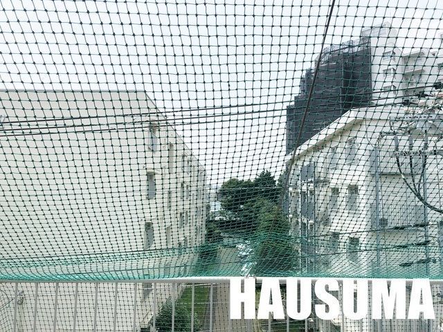 �y���̑��z�@�o���R�j�[����̌i�F