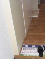 �y���[�z�@