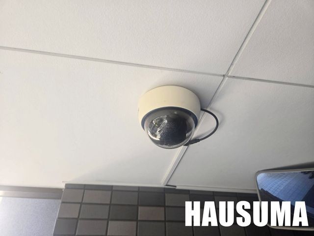 �y���̑��ݔ��z�@2026�N�B�e