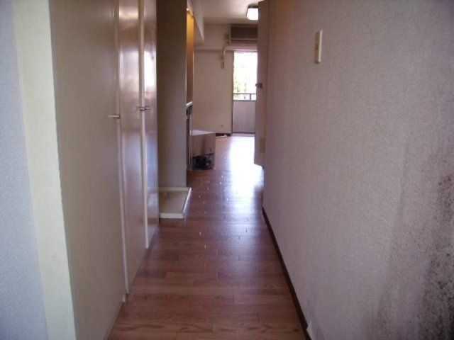 �y���ցz�@