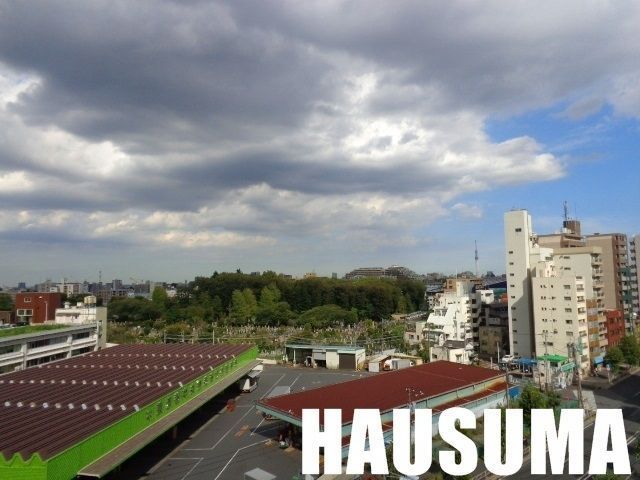 �y���̑��z�@�i�F