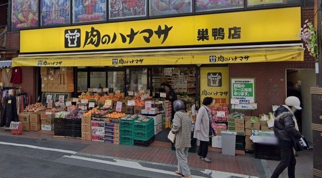 �y���Ӂz�@���̃n�i�}�T�����X �k��4���B 310m