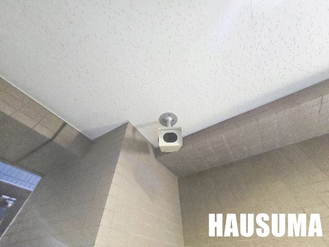 �y���̑��z�@��2024�N12���B�e