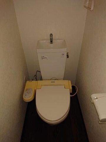 �y�g�C���z�@