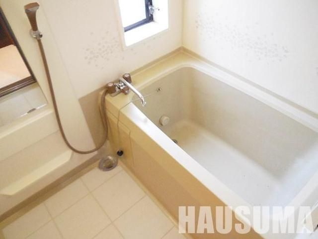 �y�o�X�z�@���������Q�Ǝʐ^��