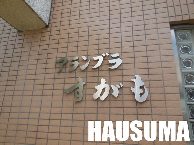 �y���̑��z�@