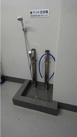 �y���̑��z�@