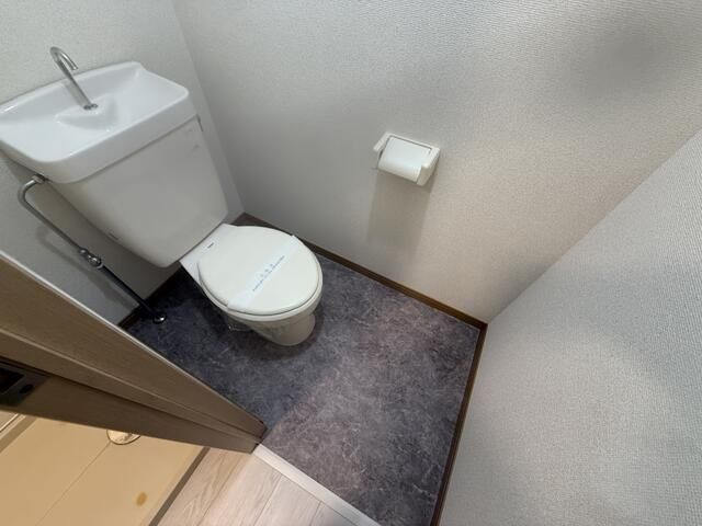 �y�g�C���z�@