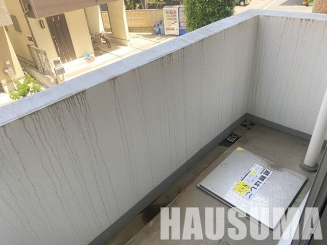 �y�o���R�j�[�z�@���^�C�v�Q�l�ʐ^