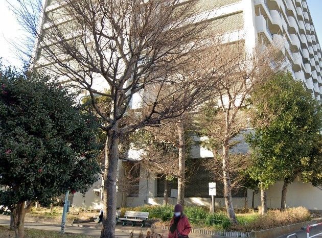 �y���Ӂz�@���旧�@���}���� �k��32���B 2540m