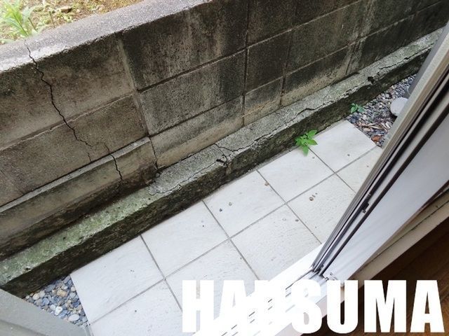�y�o���R�j�[�z�@
