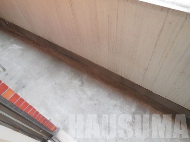 �y�o���R�j�[�z�@�o���R�j�[