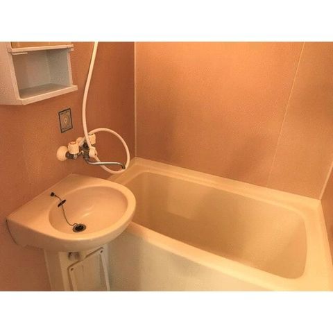 �y�o�X�z�@