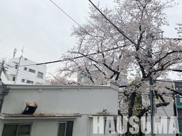 �y���̑��z�@���]